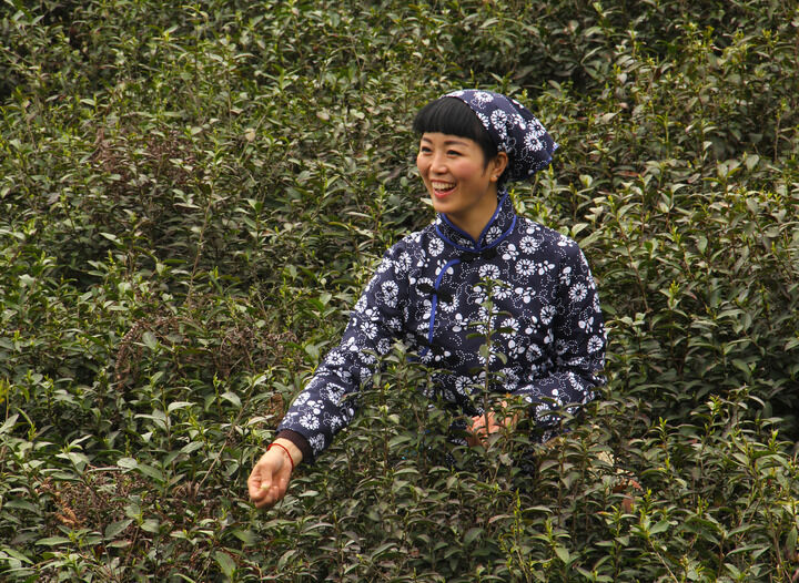 梦连直播热门10